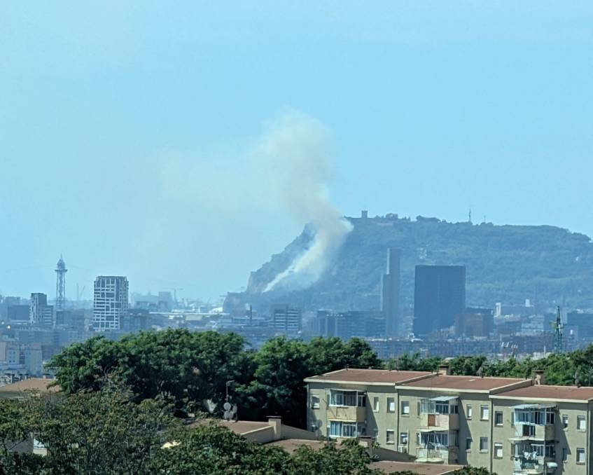 Un incendi crema una zona de matolls a Montjuïc