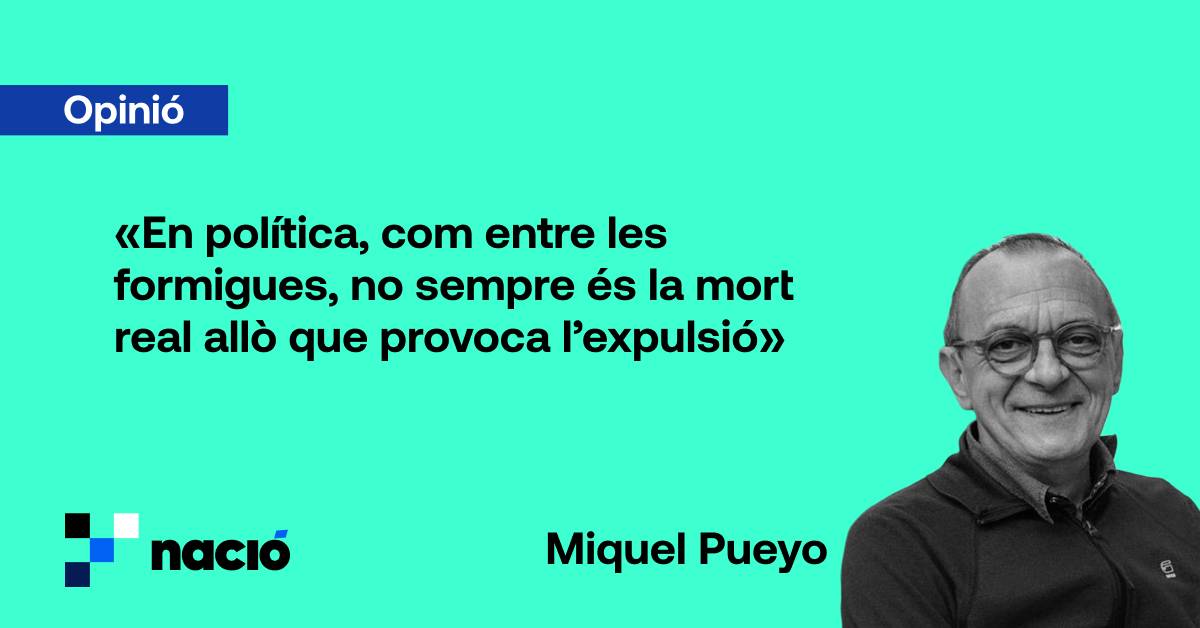 L'última espernegada