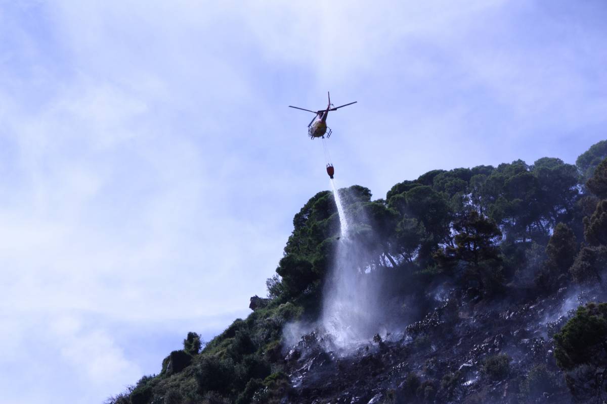 Un incendi crema una zona de matolls a Montjuïc