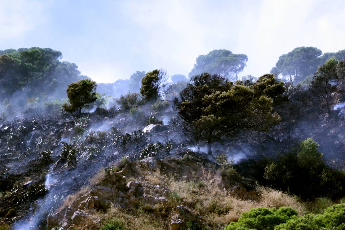 Estabilitzat l'incendi que ha cremat una zona de matolls a Montjuïc