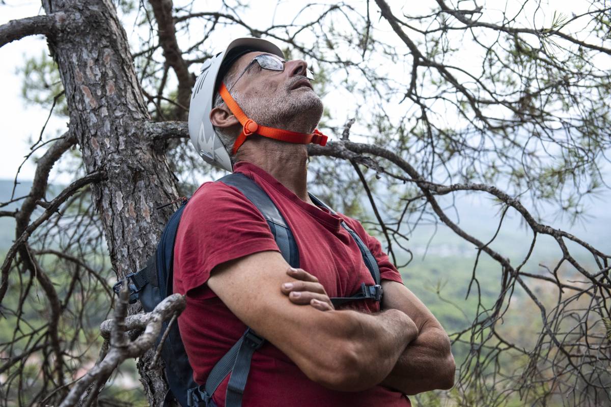 Pol Ortega