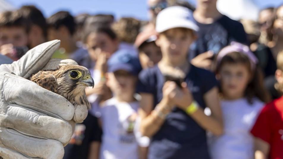 Què fer amb nens i nenes aquest cap de setmana: activitats el 19 i 20 de setembre de 2026
