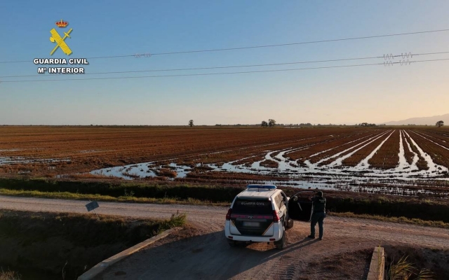 La Guàrdia Civil desplega un dispositiu especial de protecció ambiental durant la sega de l’arròs