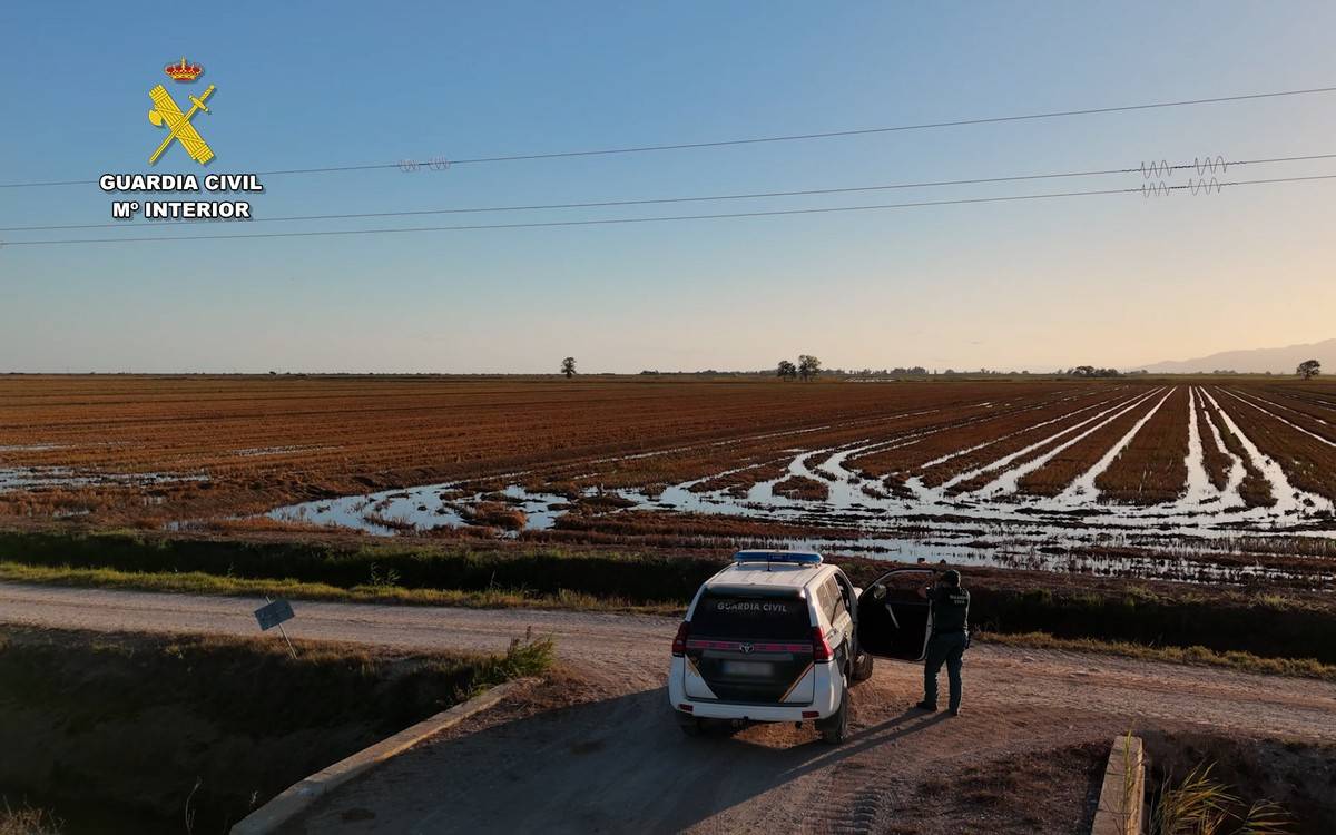La Guàrdia Civil desplega un dispositiu especial de protecció ambiental durant la sega de l’arròs