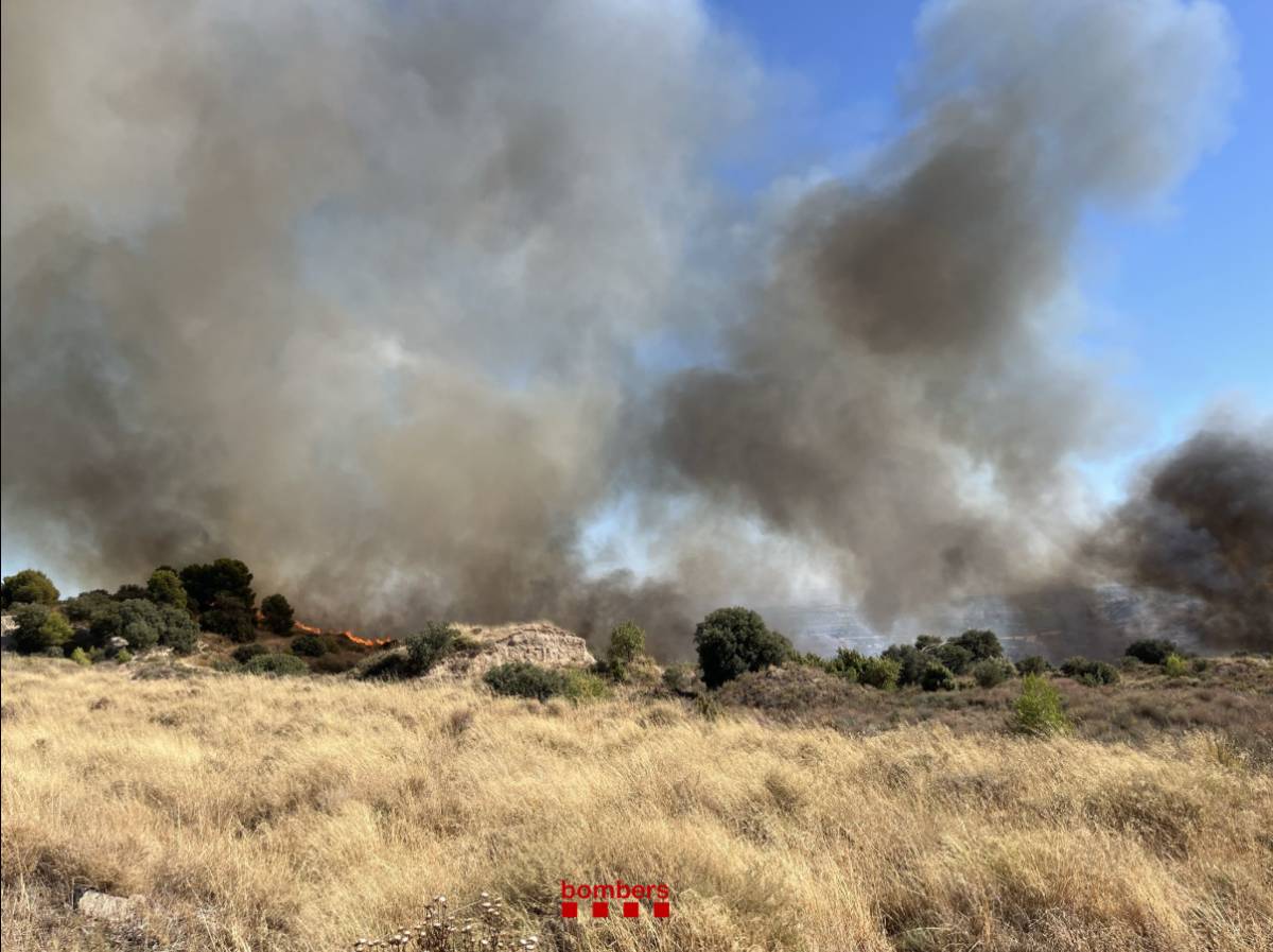 Confinen un nucli de població per un incendi forestal a Alfarràs
