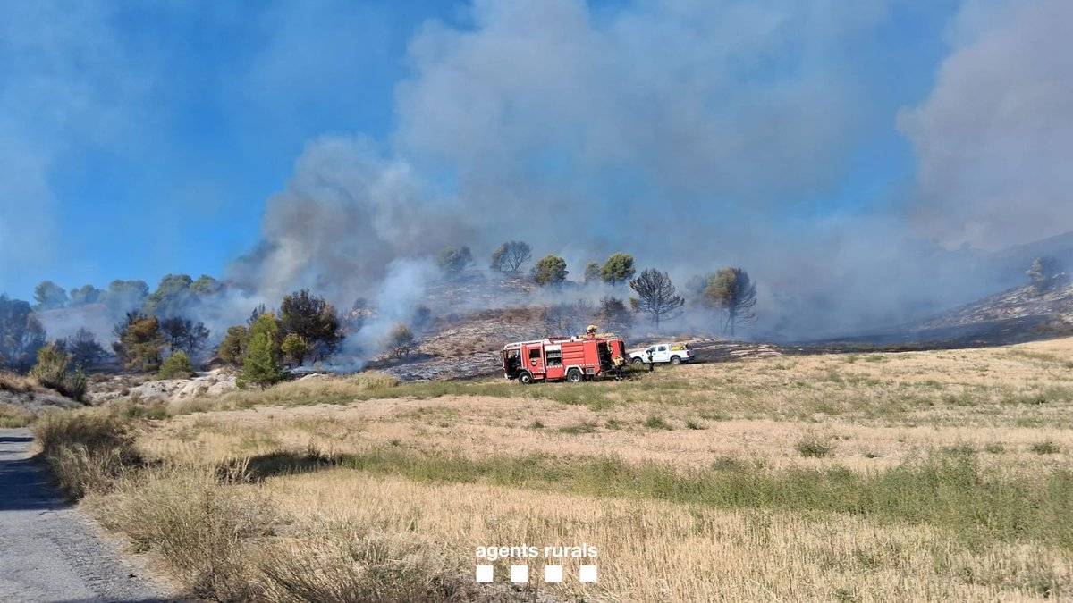 L'incendi forestal d'Alfarràs evoluciona favorablement