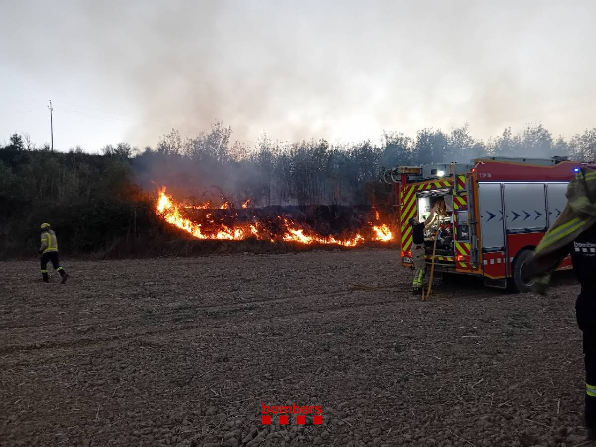Un incendi crema uns marges agrícoles a Solsona 