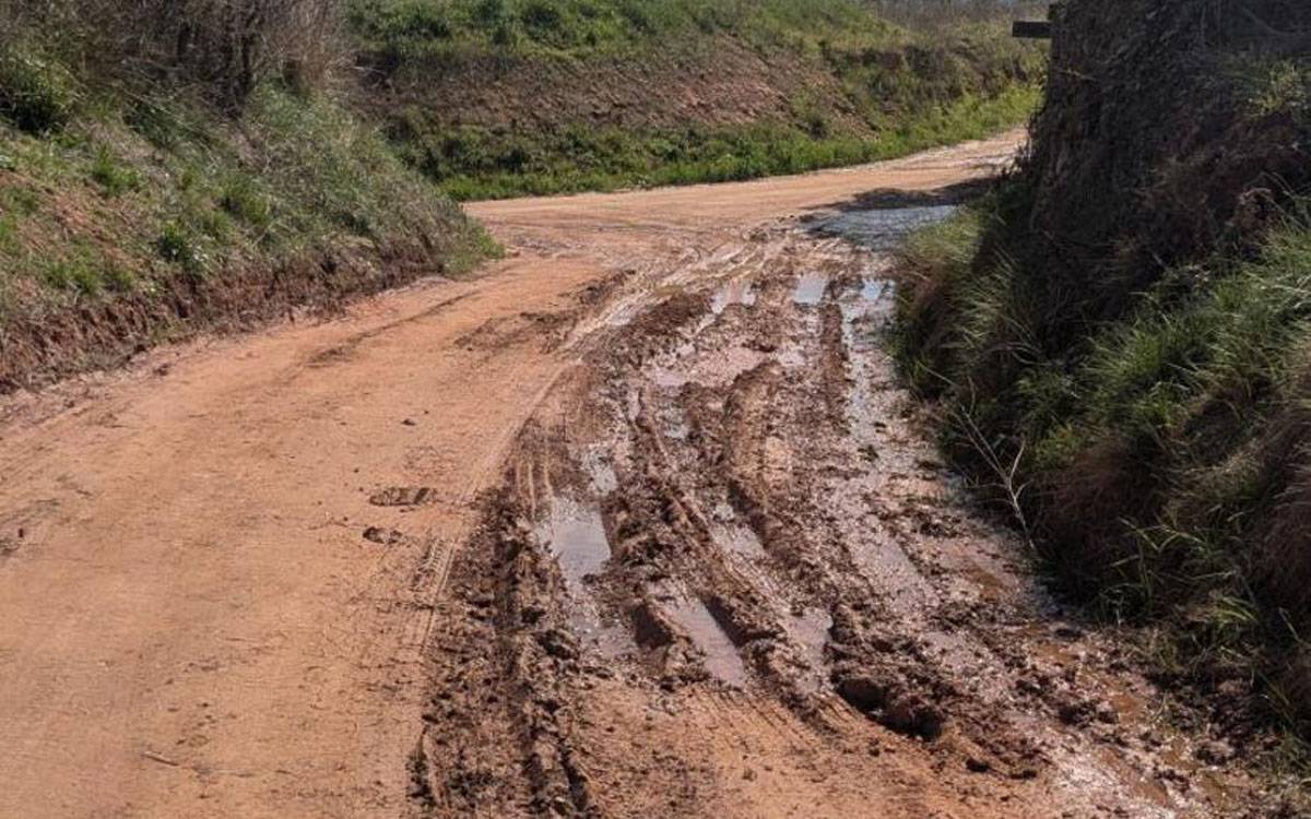 L'Ajuntament de Manresa inicia l'arranjament d'una quinzena de camins rurals