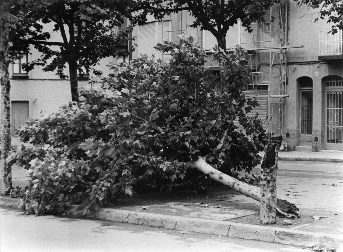 Rambla d`Ègara 1975 - Ramon Navarro - Arxiu Diari de Terrassa Rambla d`Ègara 1975