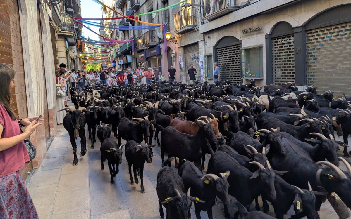 El pas del Camí Ramader de Marina trenca la rutina del centre de Manresa
