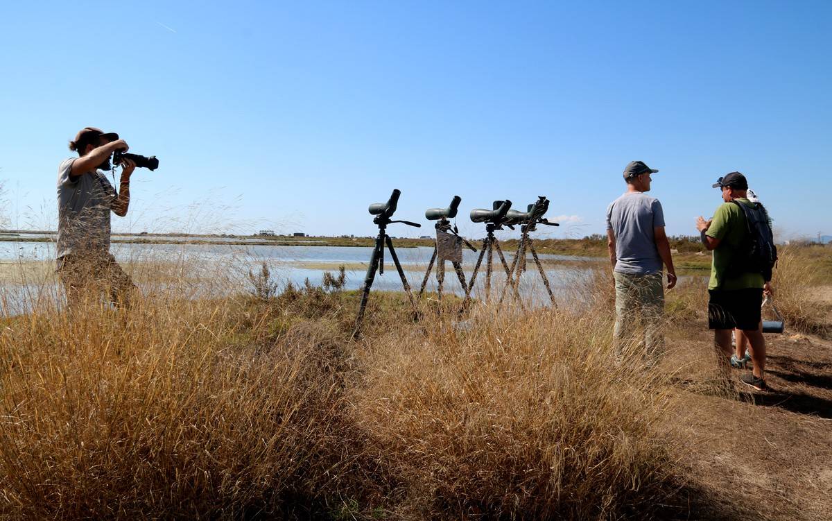 El Delta Birding Festival creix un 10% i registra prop de 5.000 visites en la dotzena edició