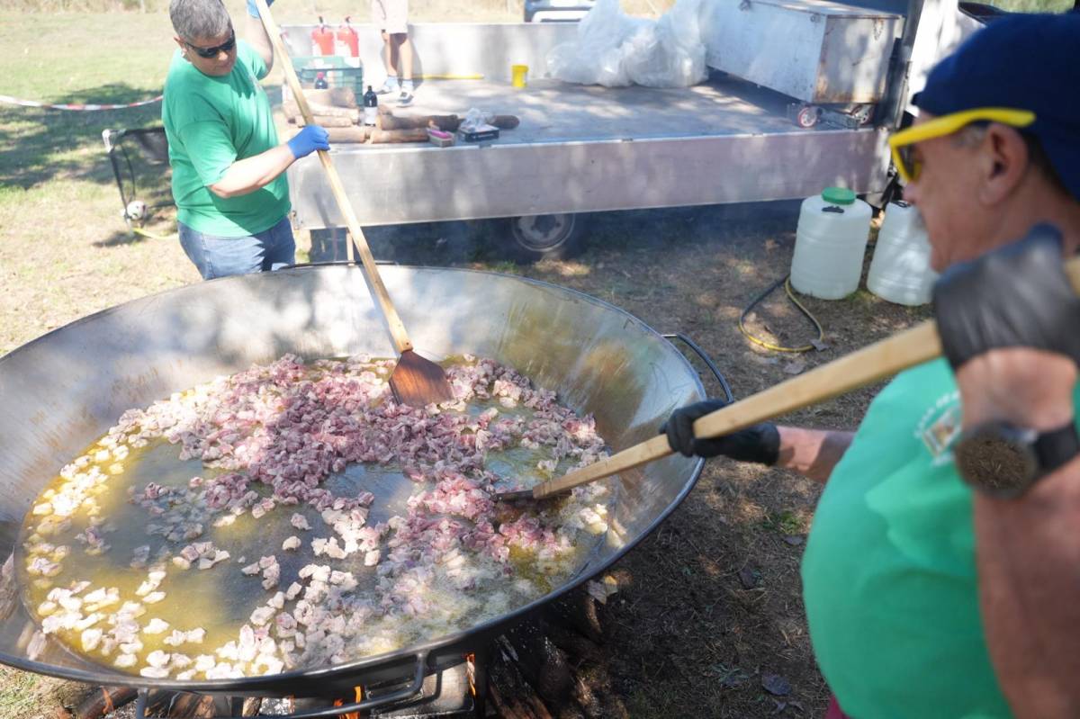 Paella popular de la Festa Major de Torre-romeu - David Chao Paella popular de la Festa Major de Torre-romeu
