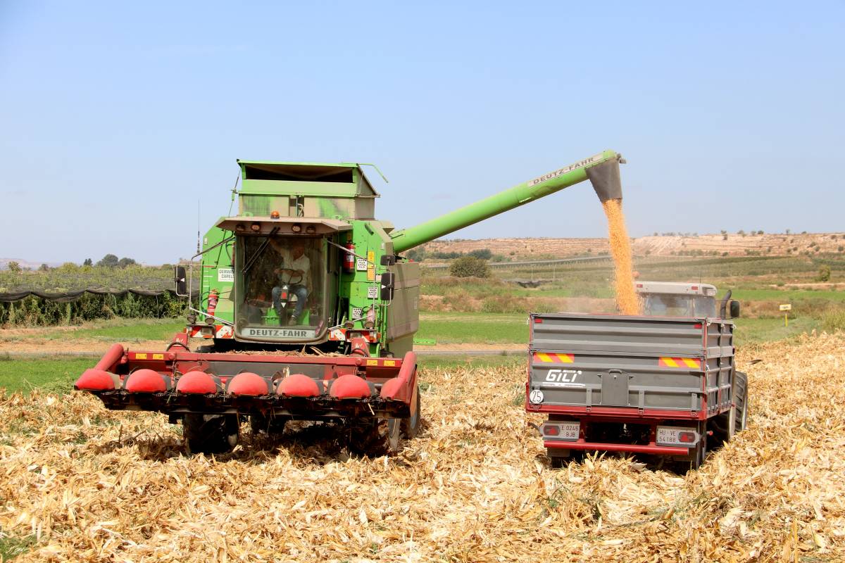 Rècord d'afiliats a la Seguretat Social a Catalunya en agricultura, ramaderia i pesca a l'agost