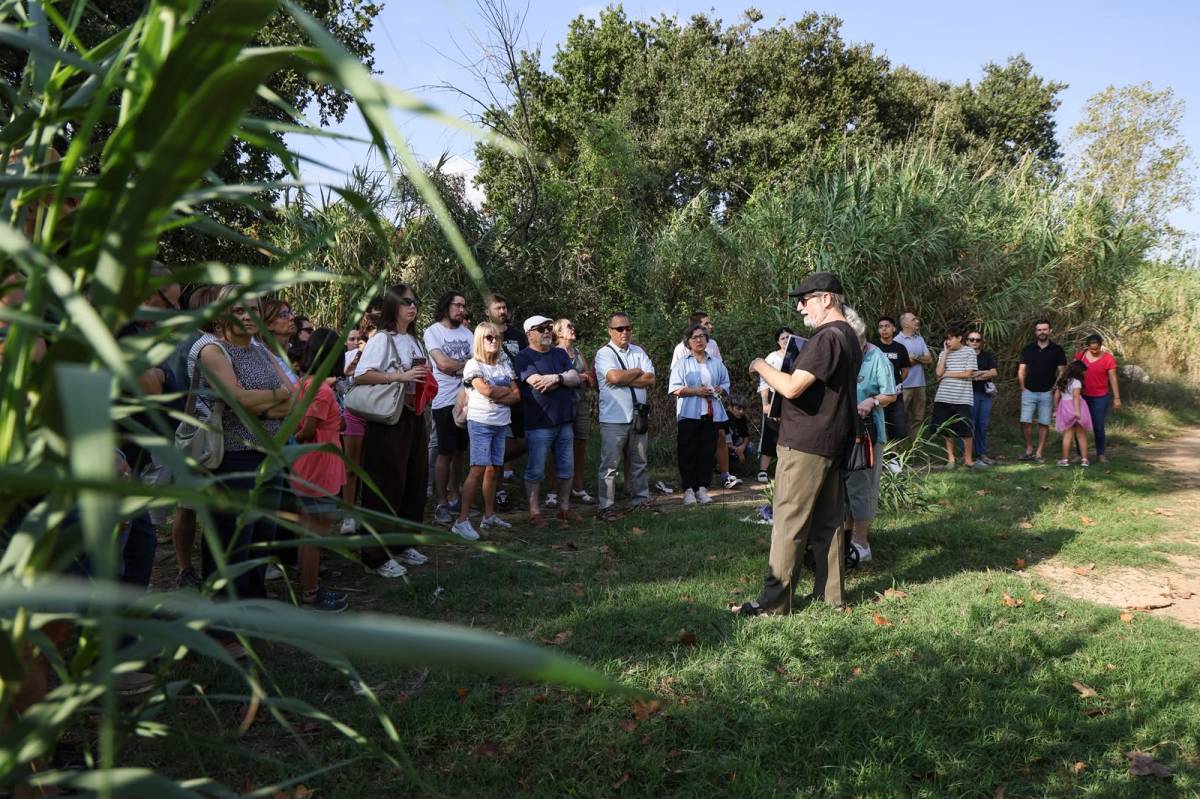 Visita guiada a la Torre d'en Feu durant la Festa Major del barri - VÍCTOR CASTILLO