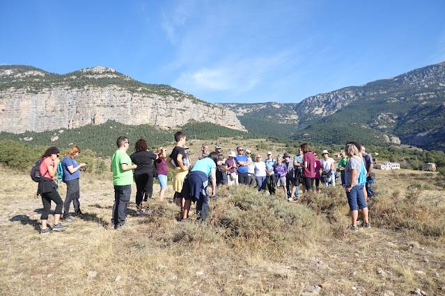 Canalda organitza un taller pràctic de plantes medicinals i aromàtiques