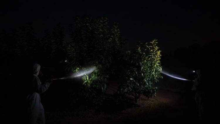 Treballar la terra de nit i collir productes d'estiu a la tardor
