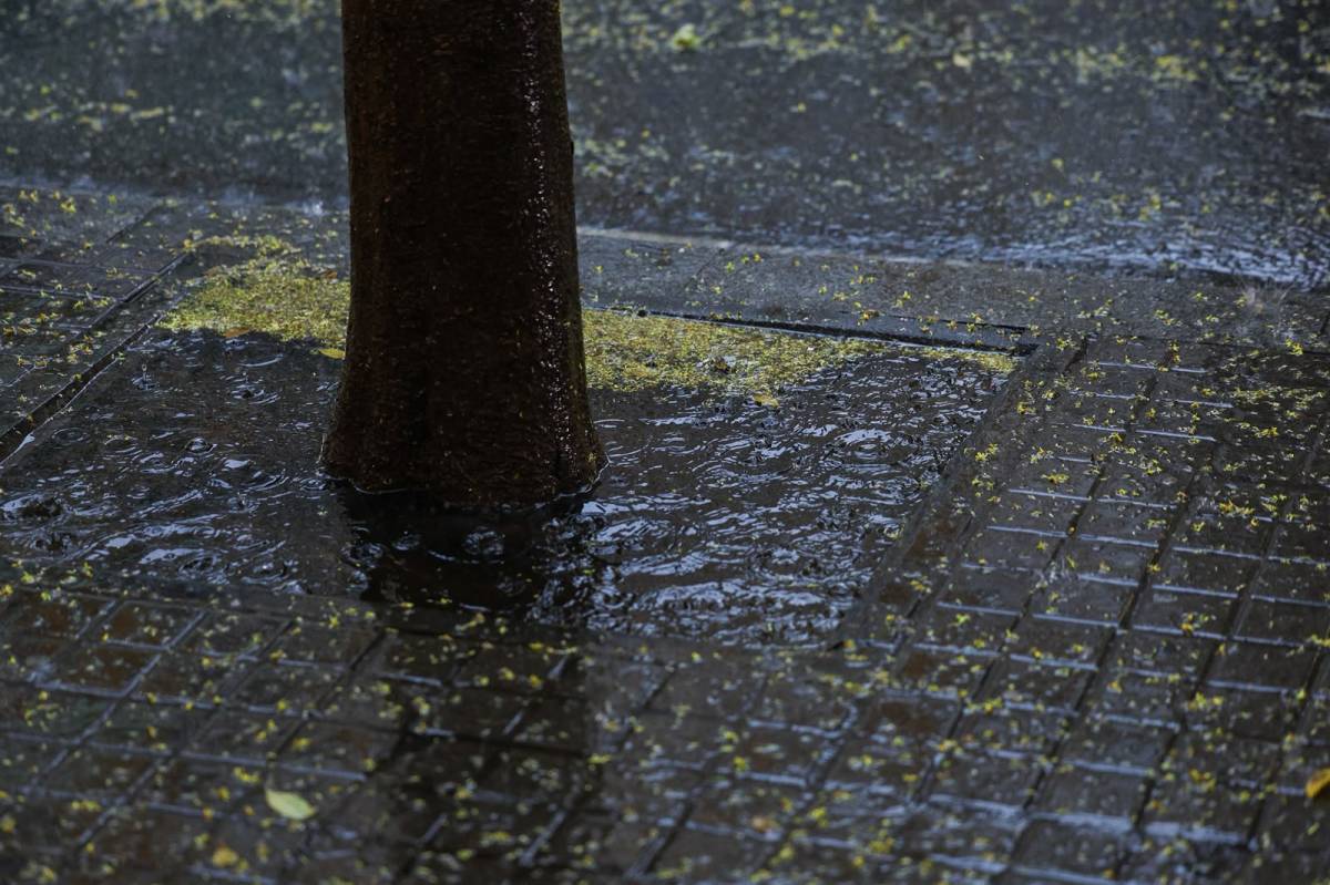 Pluja a Sabadell aquest dimarts - Víctor Castillo Pluja a Sabadell aquest dimarts