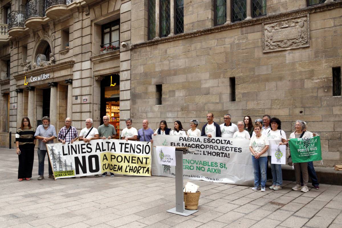 A judici el contenciós contra la llicència de la Paeria a la línia d'evacuació dels parcs solars d'Alcarràs