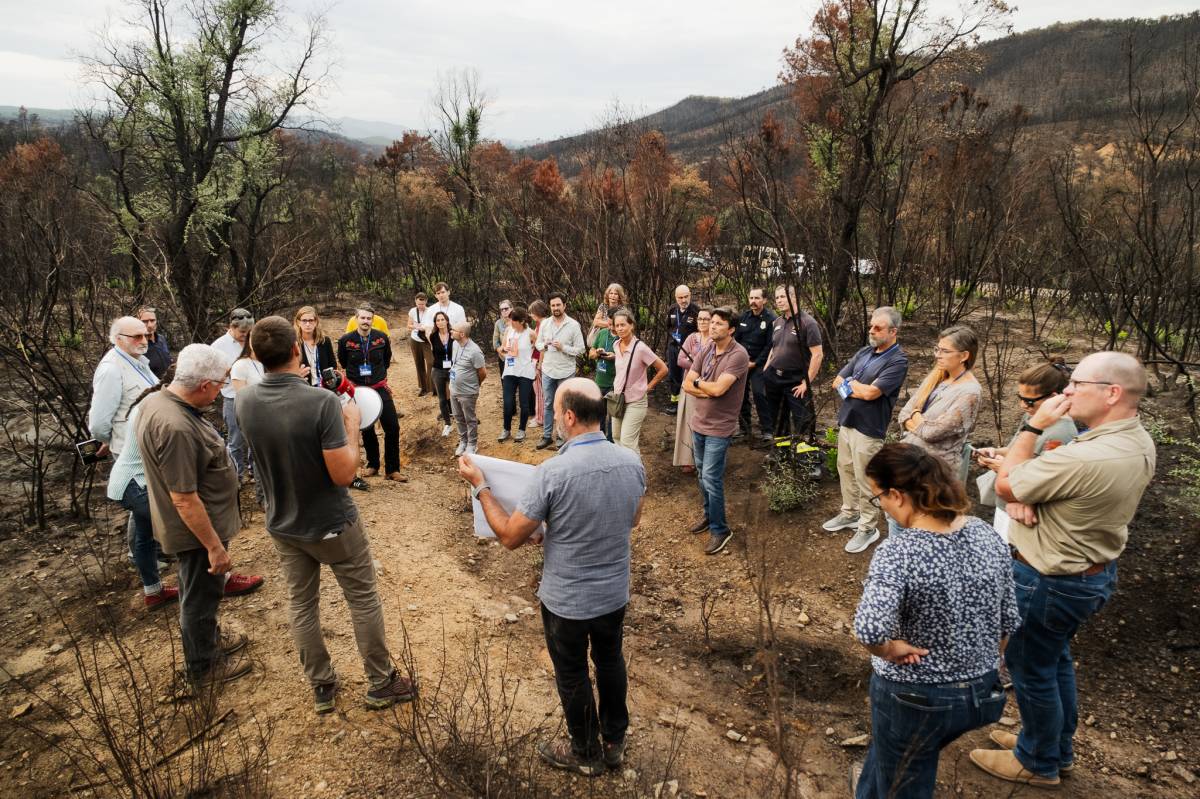 Paisatges resilients als incendis forestals: de les proves pilot a la gran escala