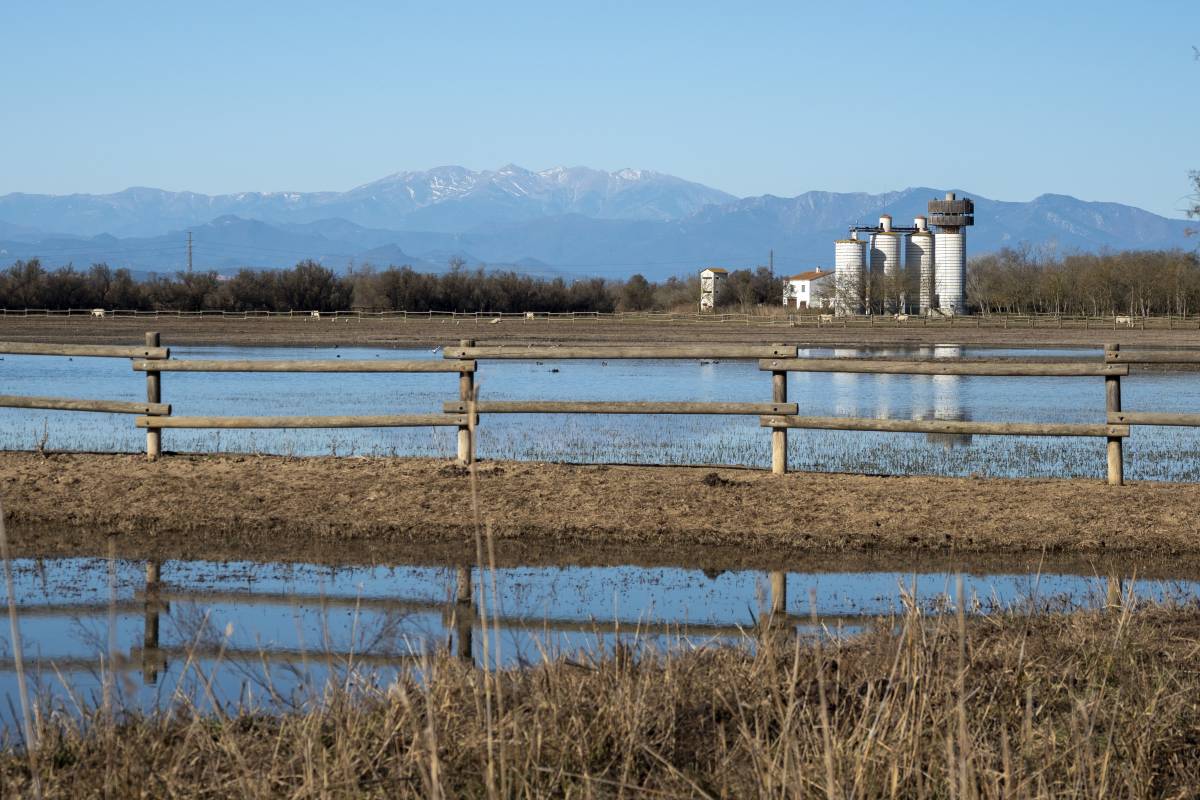 parc natural dels Aiguamolls de l`Empordà - Generalitat parc natural dels Aiguamolls de l`Empordà