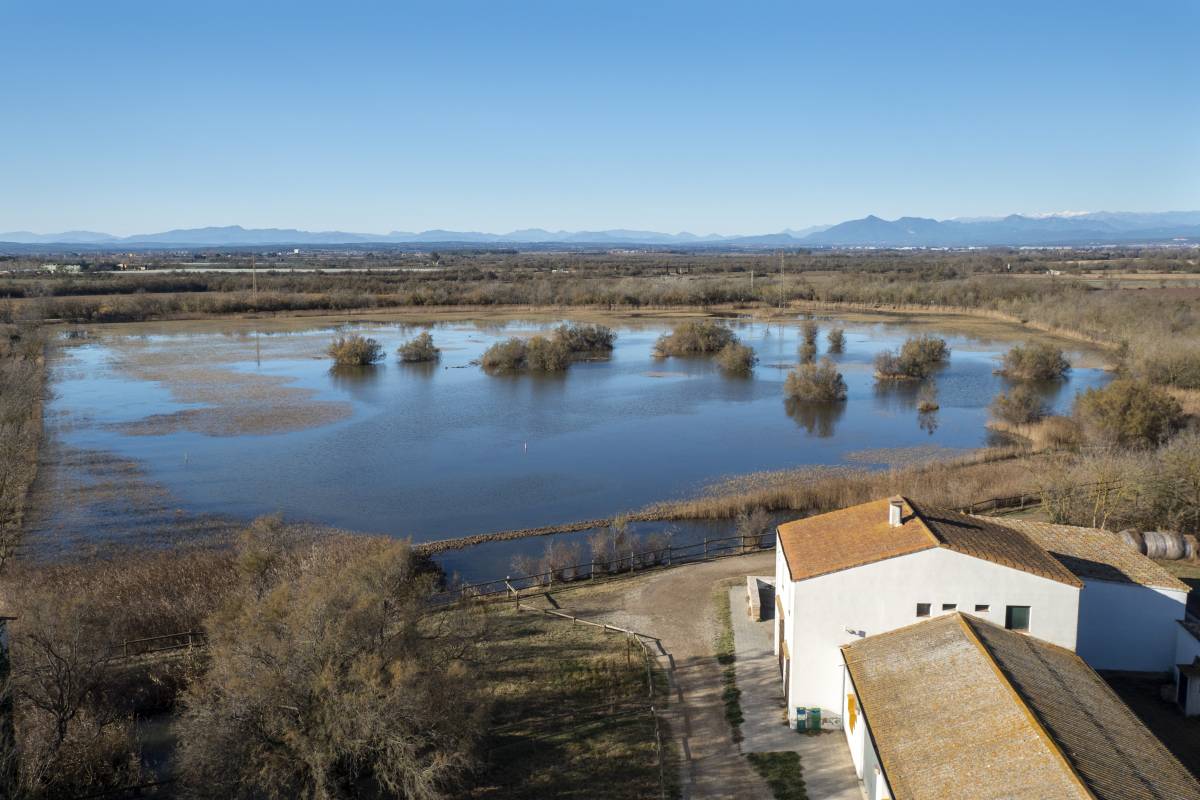 Descobrir caminant: els secrets dels itineraris dels parcs naturals