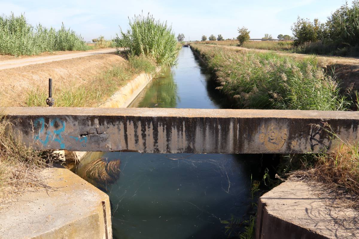 La conca del Segre i la Noguera Pallaresa entren en sequera prolongada després d’un estiu sense pluges