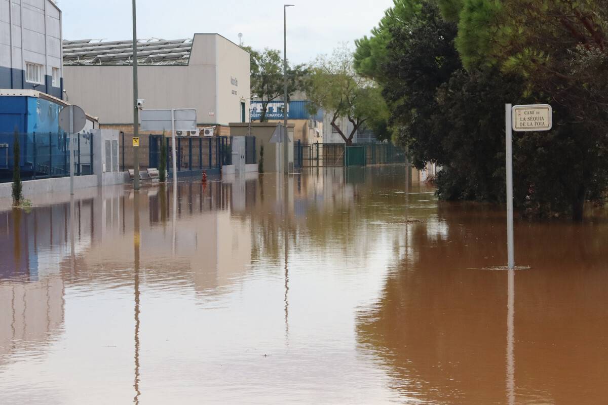 Ulldecona alerta de greus afectacions al sector ramader amb granges inundades i animals ofegats