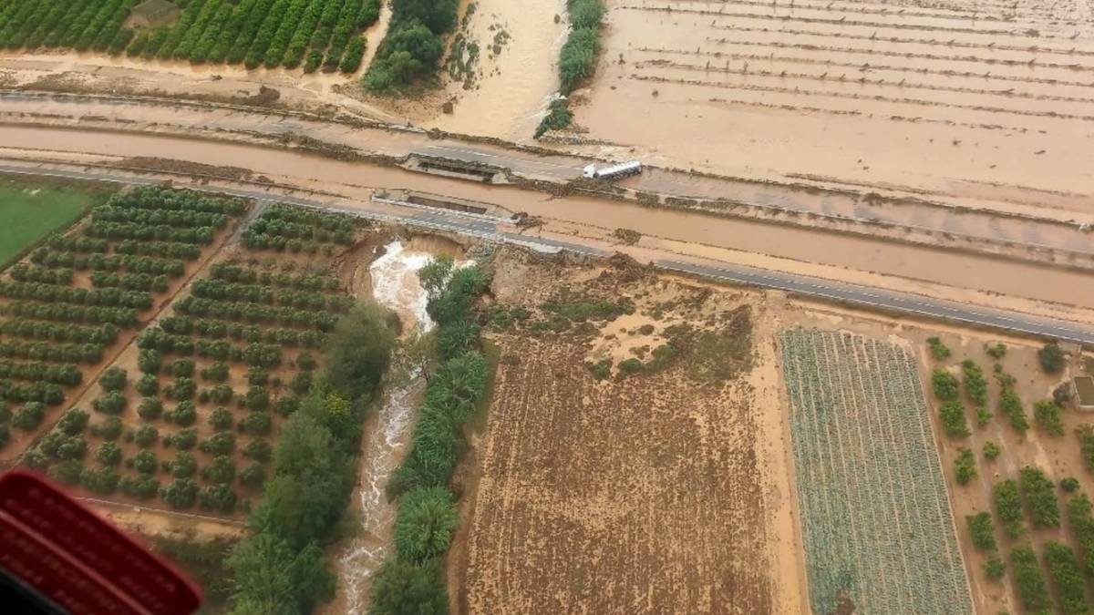 Els aiguats amenacen l'inici de la collita d'olives i cítrics a les Terres de l'Ebre
