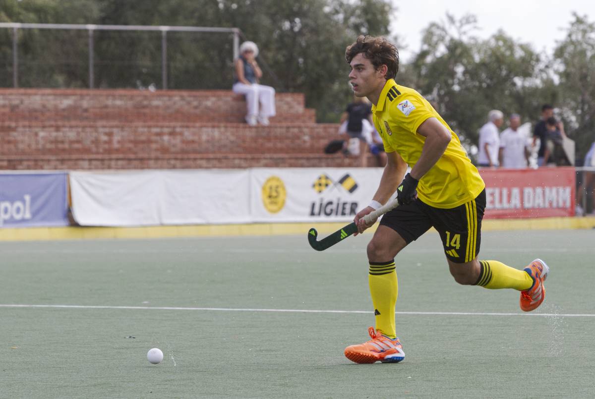 Tampoc hi haurà hockey de la Divisió d'Honor aquest diumenge