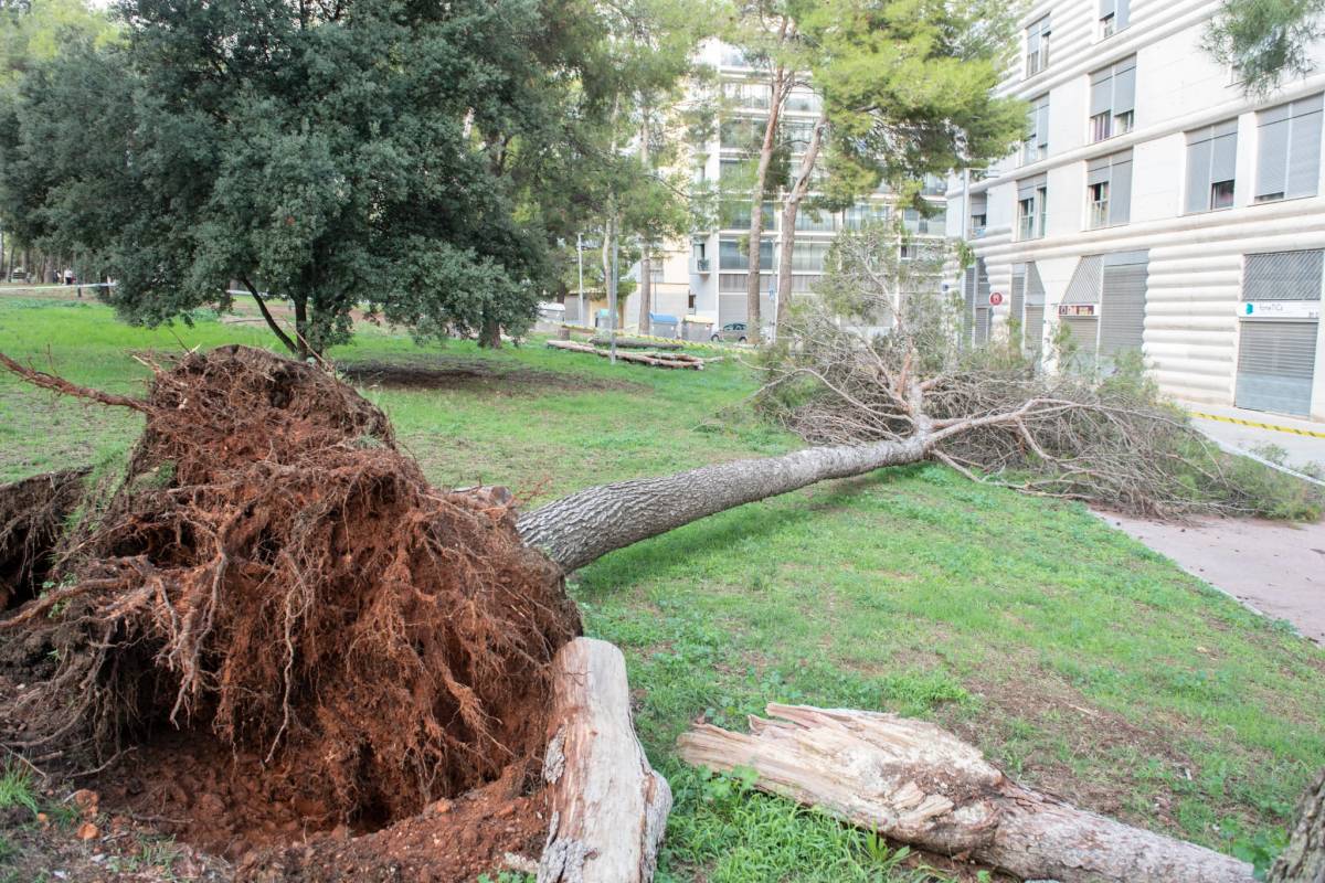 El temporal deixa prop de 100 litres per metre quadrat a Terrassa i una vintena d’incidències