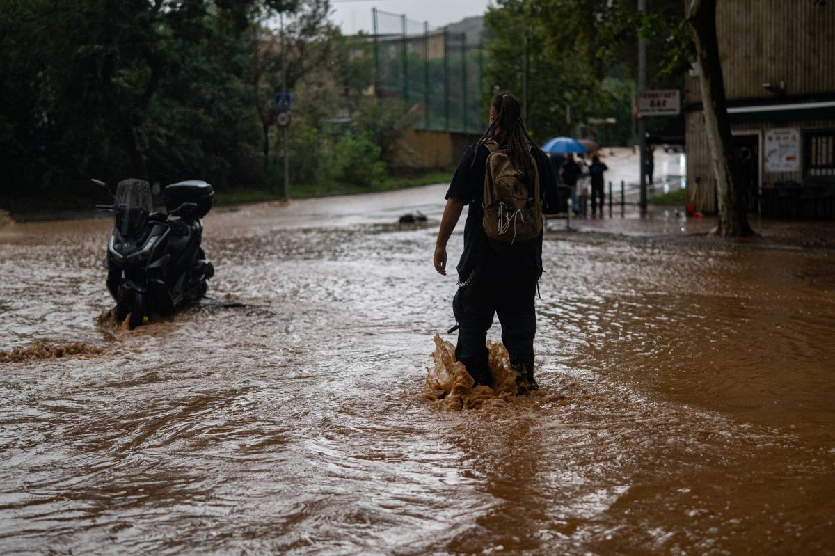 Sí, Catalunya es tropicalitza