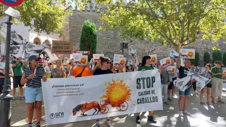 La guerra de les galeres a Palma