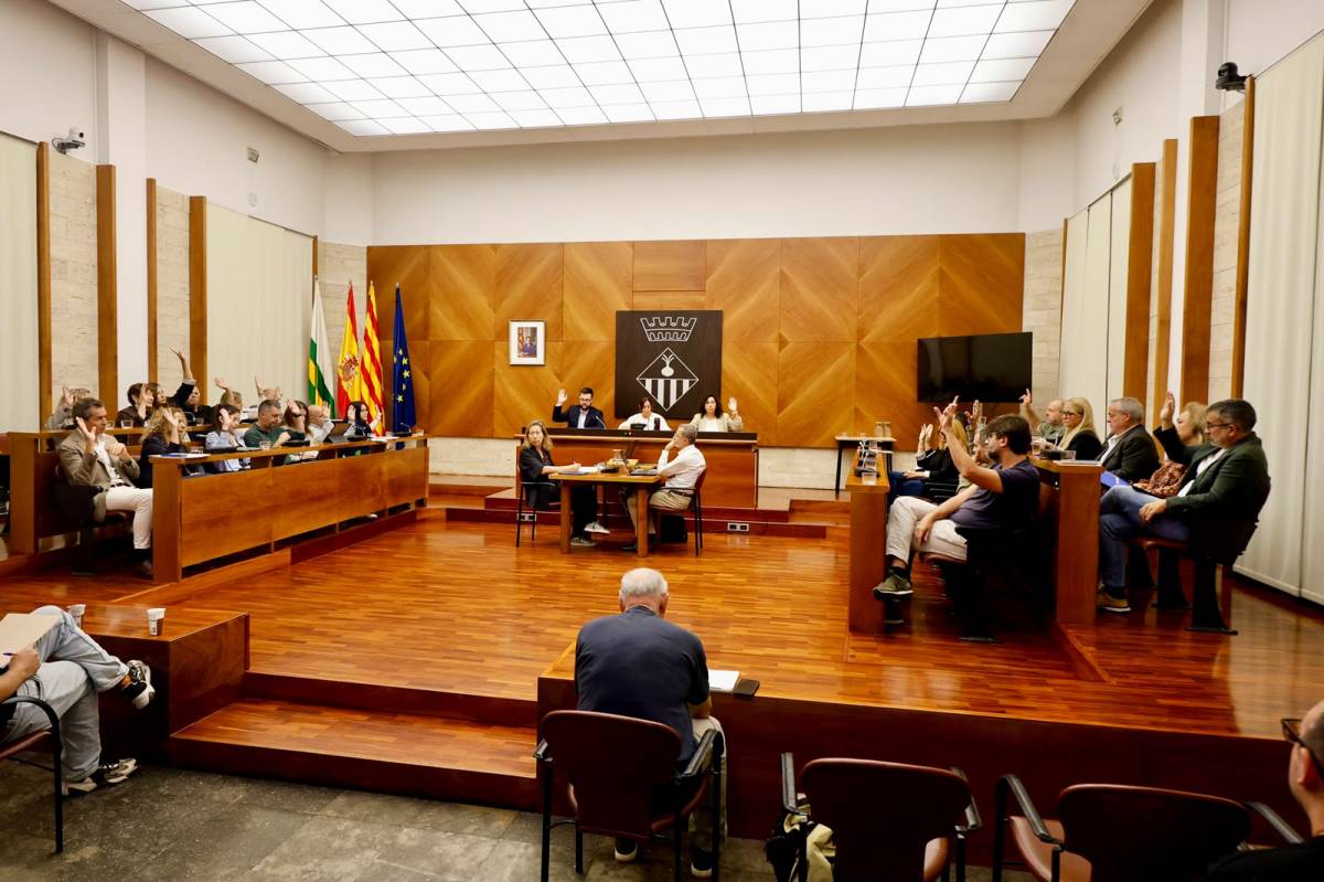 Sabadell reprova el regidor de Vox que va fer veure que disparava un tret al ple