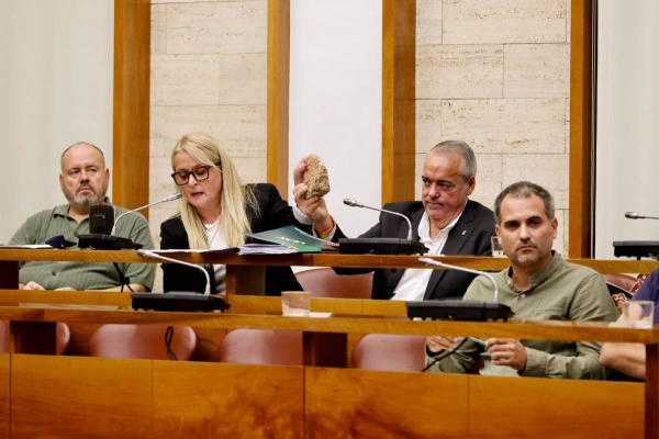 Sabadell reprova el regidor de Vox que va fer veure que disparava un tret al ple