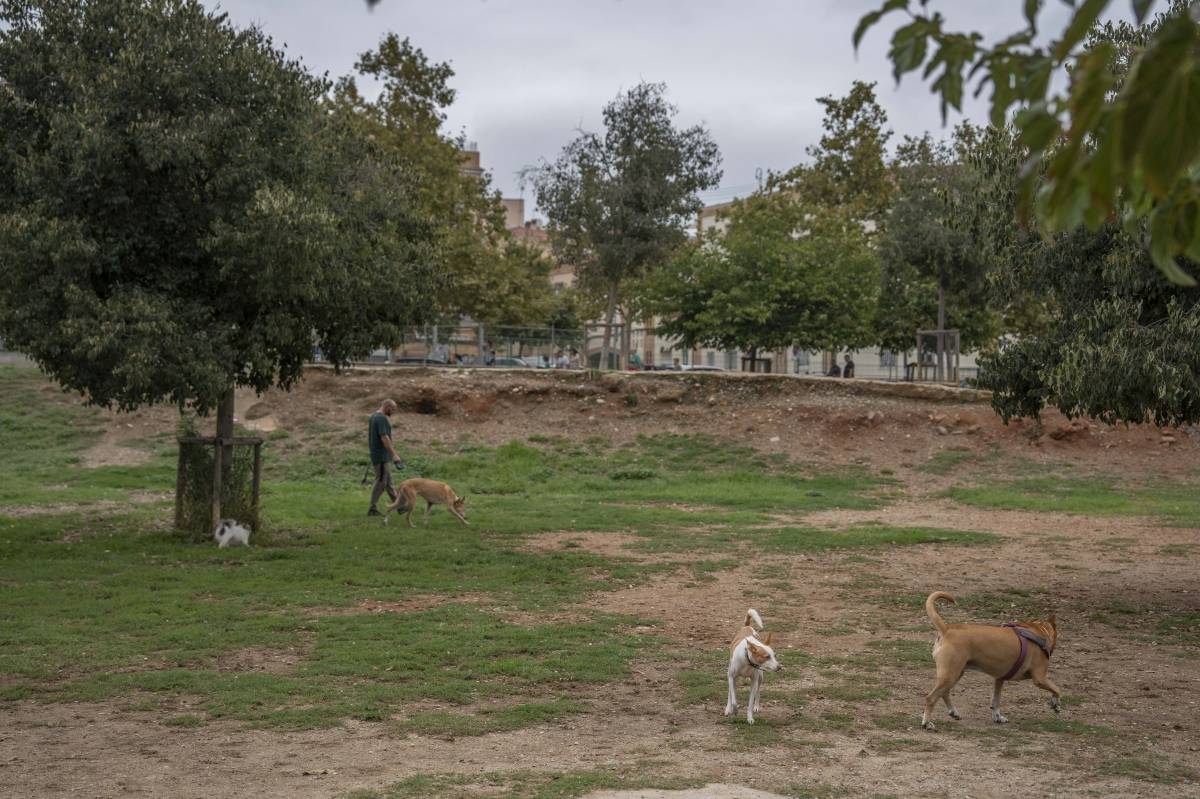 Sense corretja: on poden córrer els gossos de Terrassa