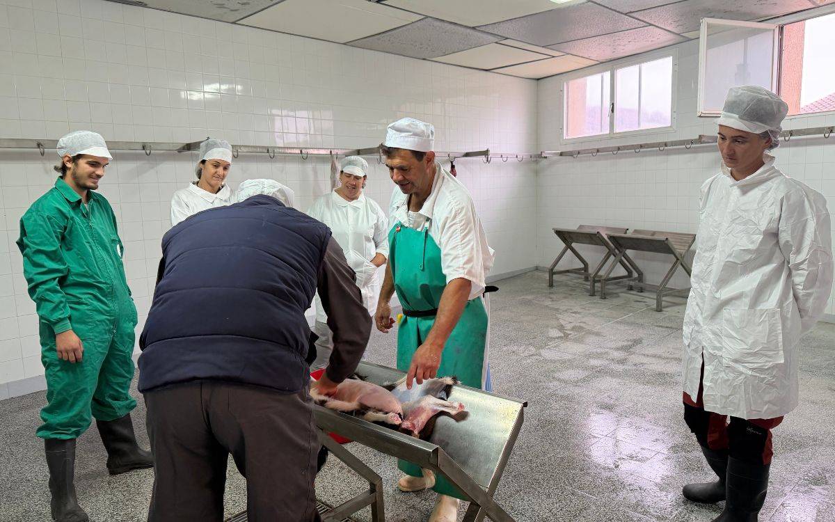 Pastors de Tarragona es formen en sacrifici de xais i cabrits per impulsar els escorxadors de proximitat