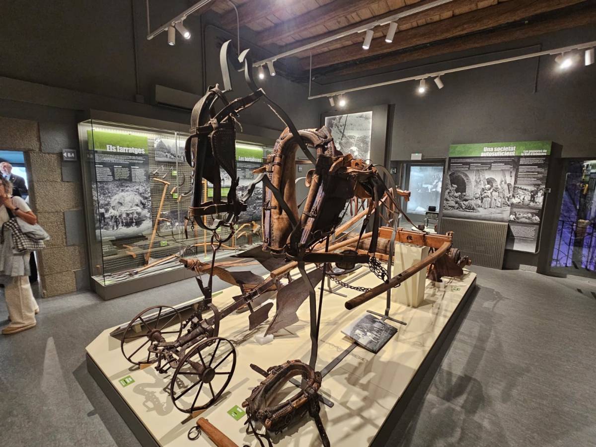 Una sala renovada del Museu. - Bernat Castanyer Una sala renovada del Museu.