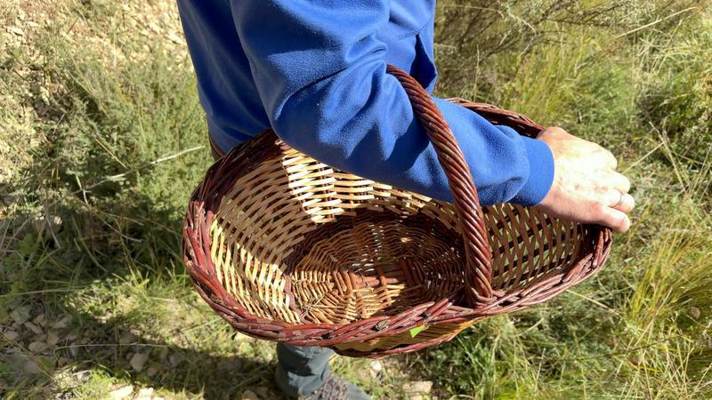 Troben mort un boletaire de 72 anys a Sant Joan de les Abadesses