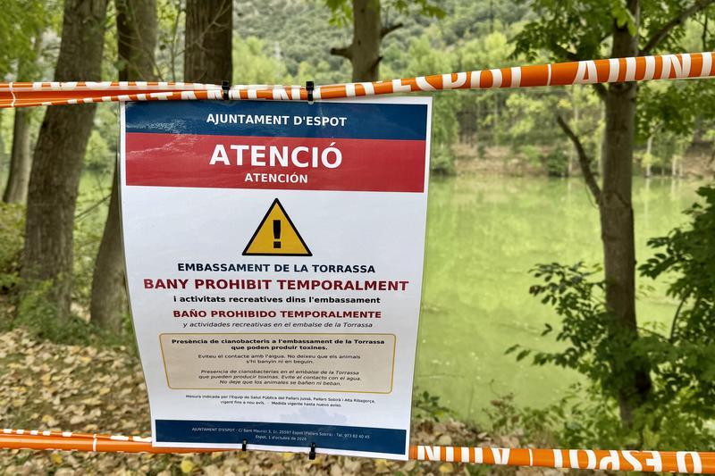 Les analítiques del pantà de la Torrassa no detecten toxines a l'aigua