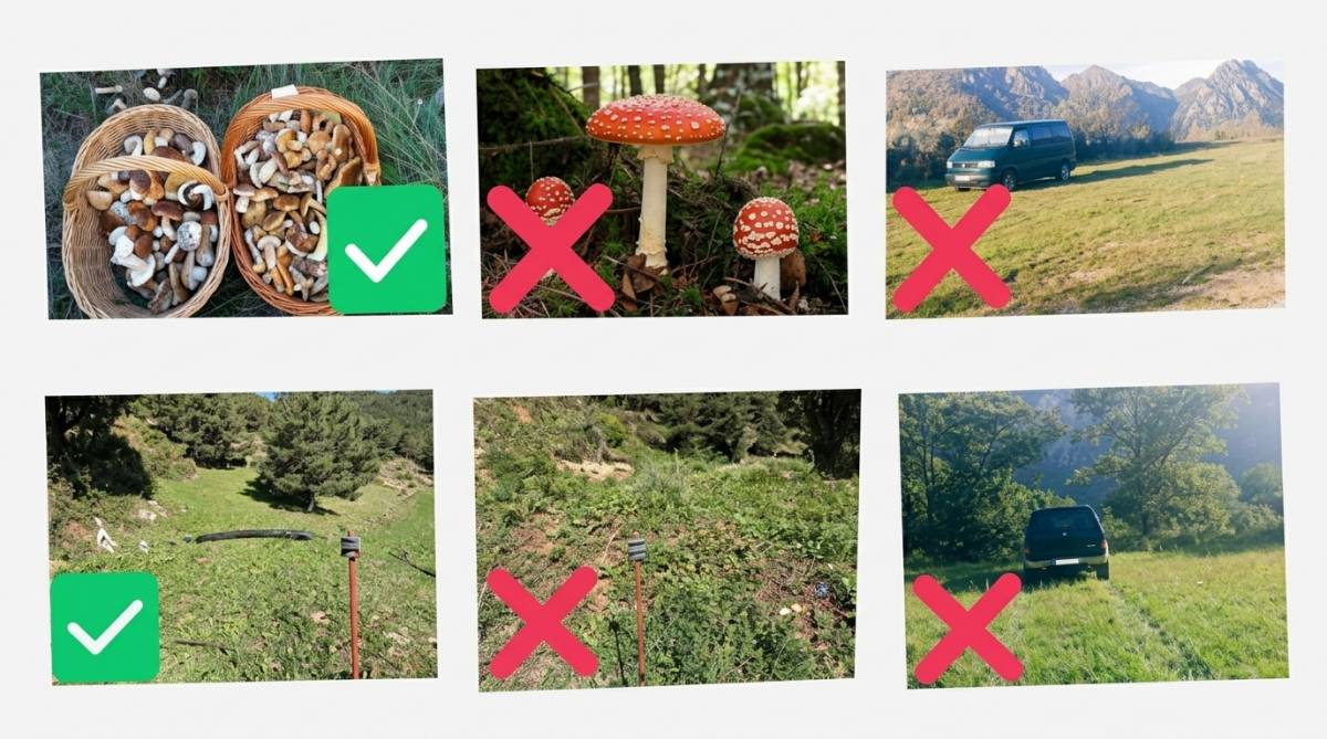 Guixers fa una crida al civisme i a la protecció del medi natural davant l'inici de la temporada de bolets