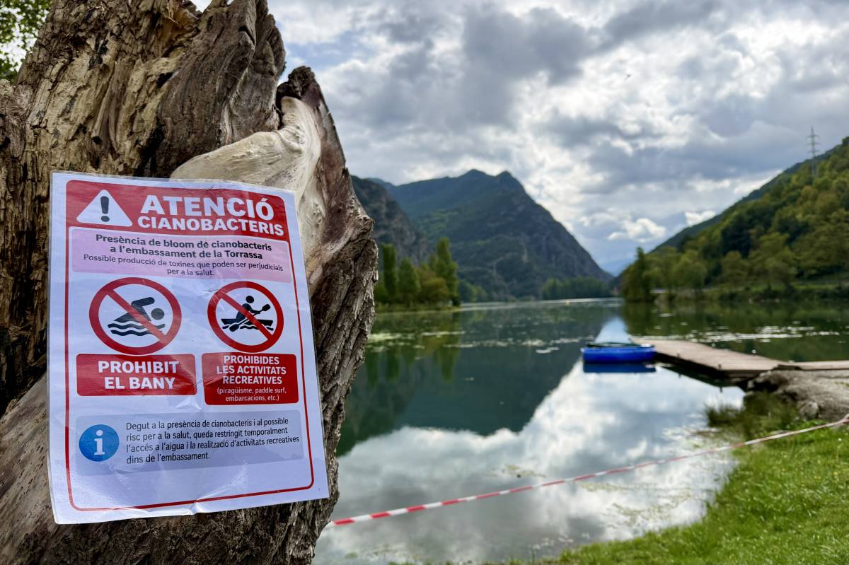 El pantà de la Torrassa apareix tenyit de verd: què ho ha provocat?