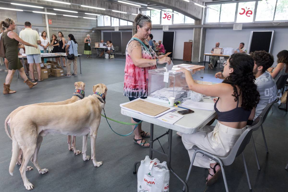 Seràs membre d’una mesa electoral a les eleccions generals del 29-N? Quan i com rebràs la notificació si t’han triat