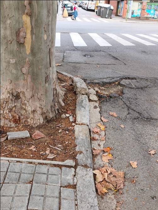 “L’asfalt està en mal estat per les arrels d'un arbre”