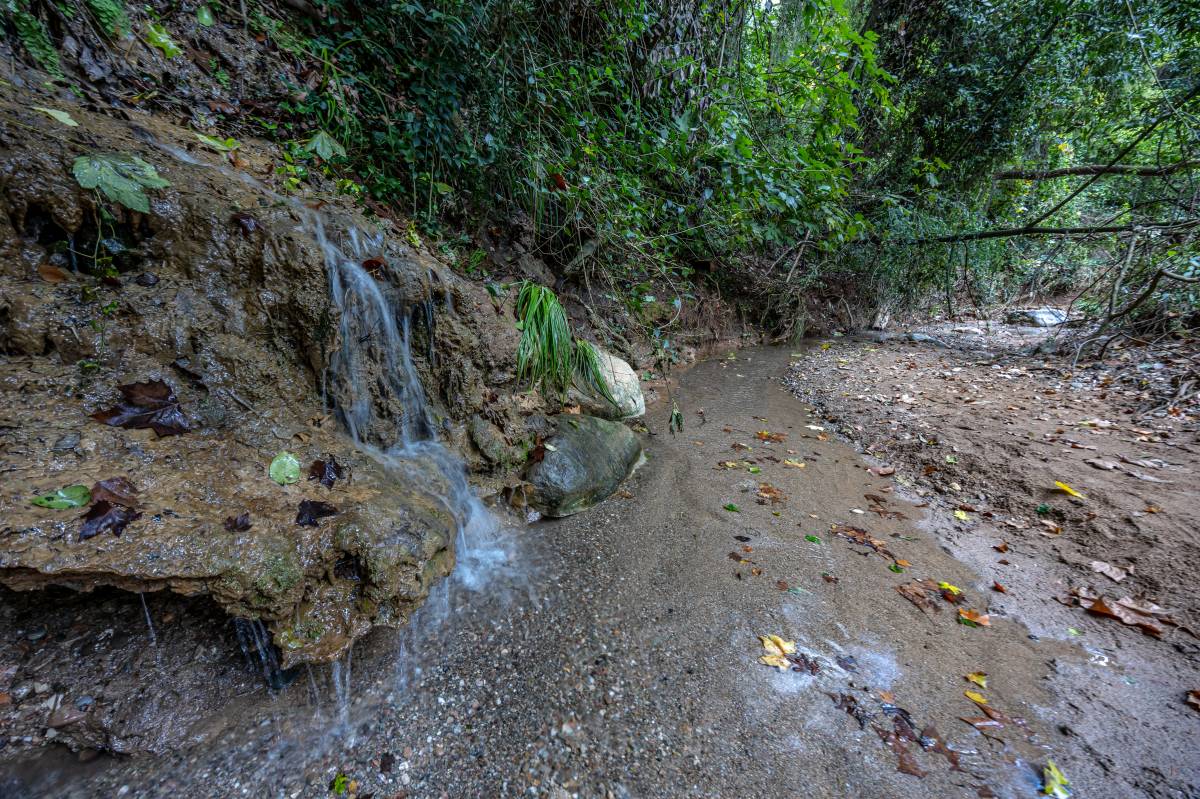 Efectes de les pluges al torrent de Colobrers - Juanma Peláez Efectes de les pluges al torrent de Colobrers
