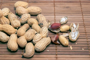 Menjar dues racions d'aquest fruit sec cada dia podria millorar la memòria a partir dels seixanta