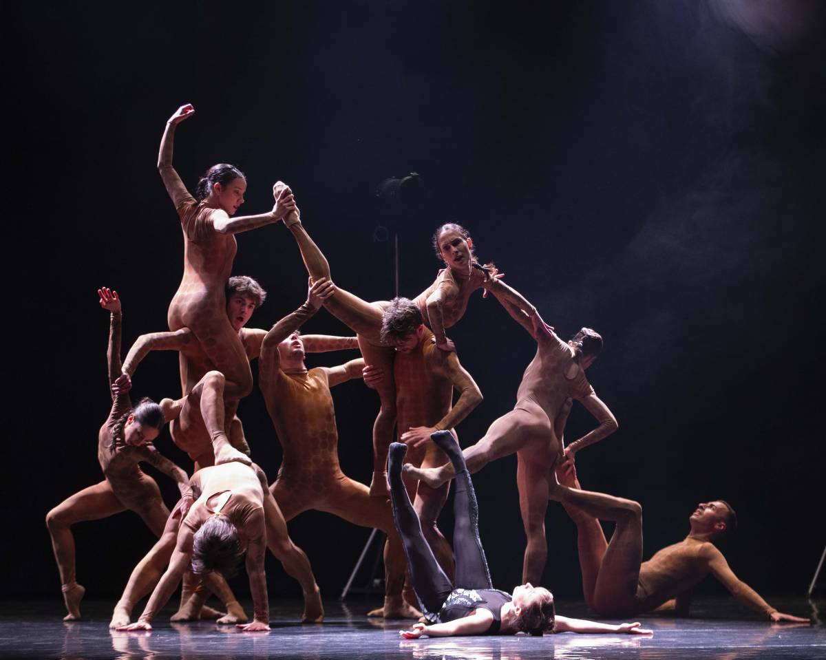 La dansa de Beethoven a Terrassa: "Els quatre elements formen un pelegrinatge del cor"