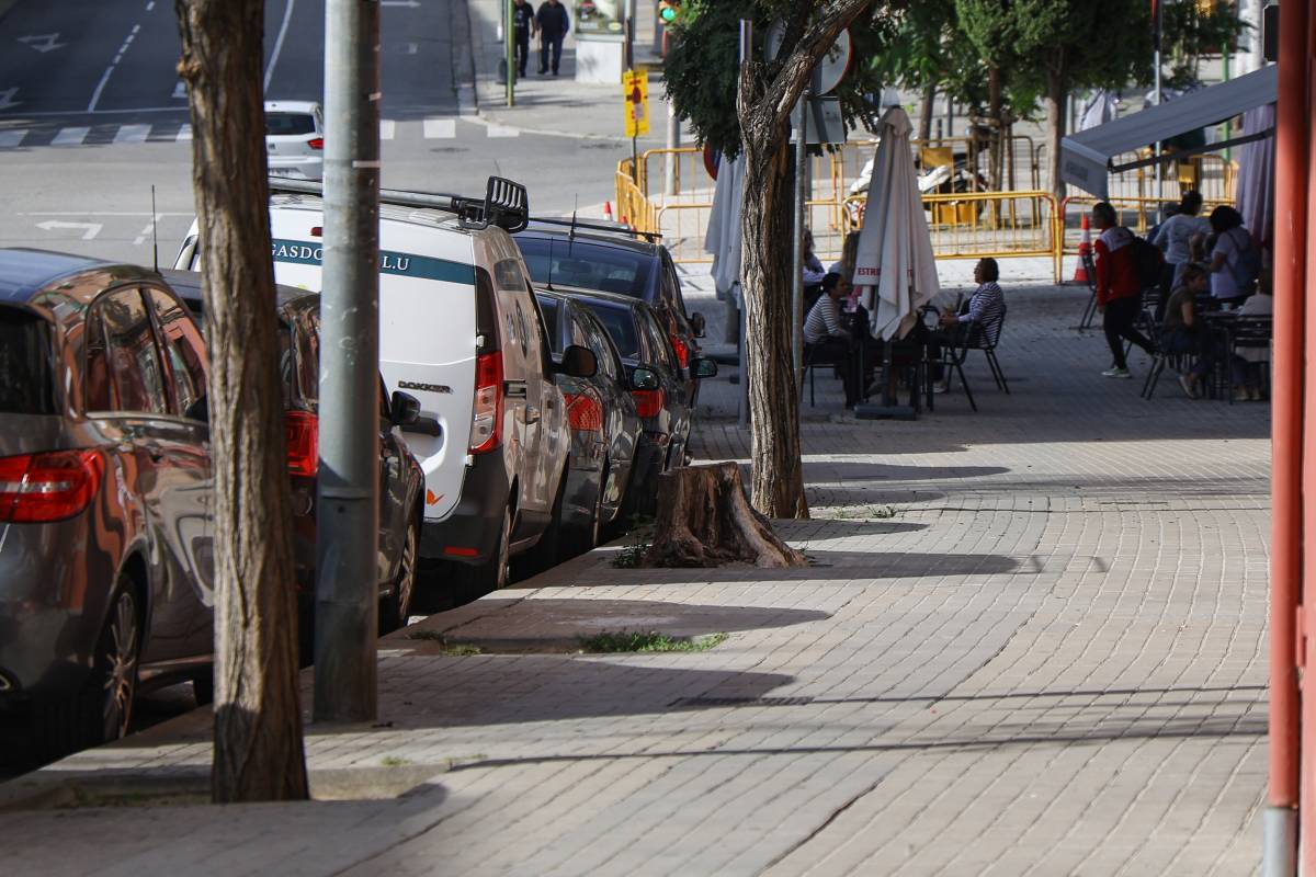 Escocells buits al carrer de la Serra d`en Camaró - Víctor Castillo Escocells buits al carrer de la Serra d`en Camaró