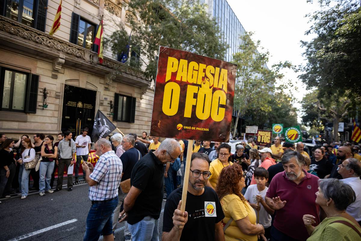 Hugo Fernández