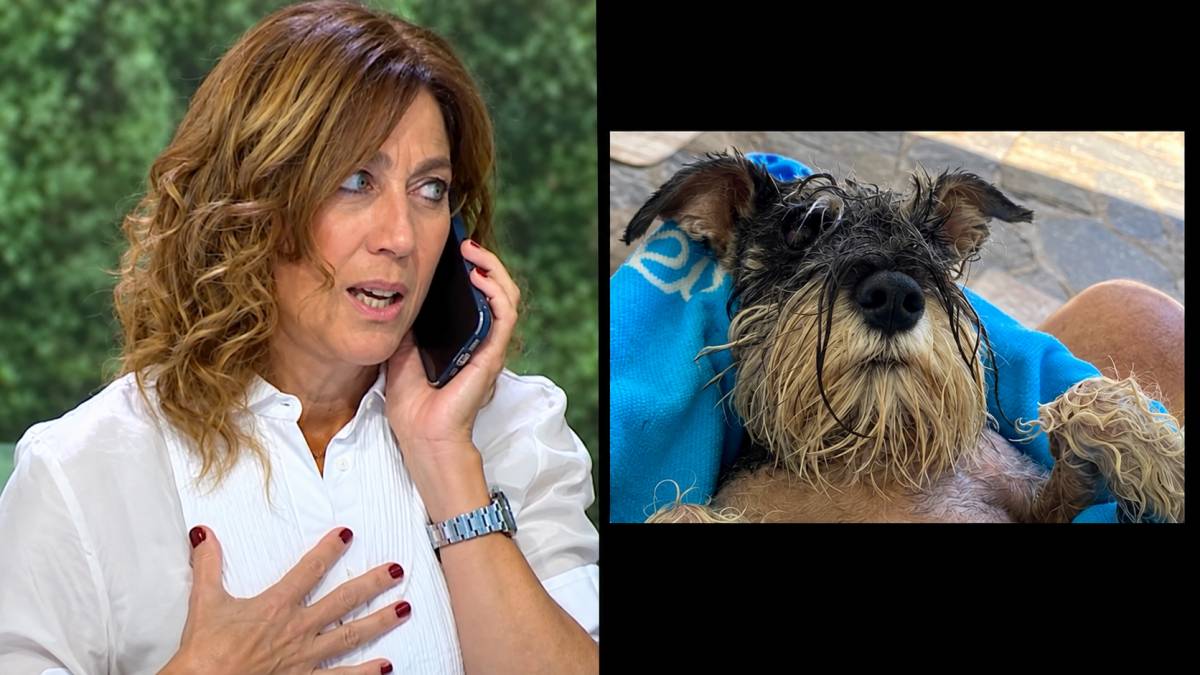 Si no existís l'Helena Garcia Melero caldria inventar-la: respon en directe una trucada sobre la seva gossa, que s'havia perdut