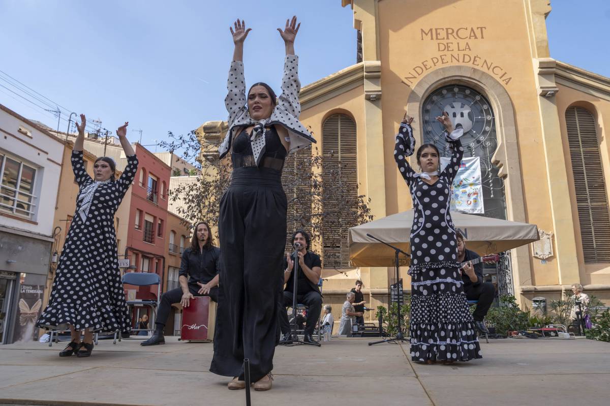 Rocío Merino, bailaora: “Tal com està el pati, només ens queda la cultura”